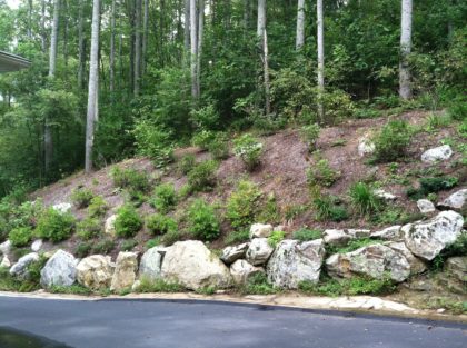 Fairview Slope 3